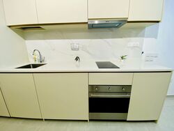 Kopar At Newton (D9), Apartment #515709551